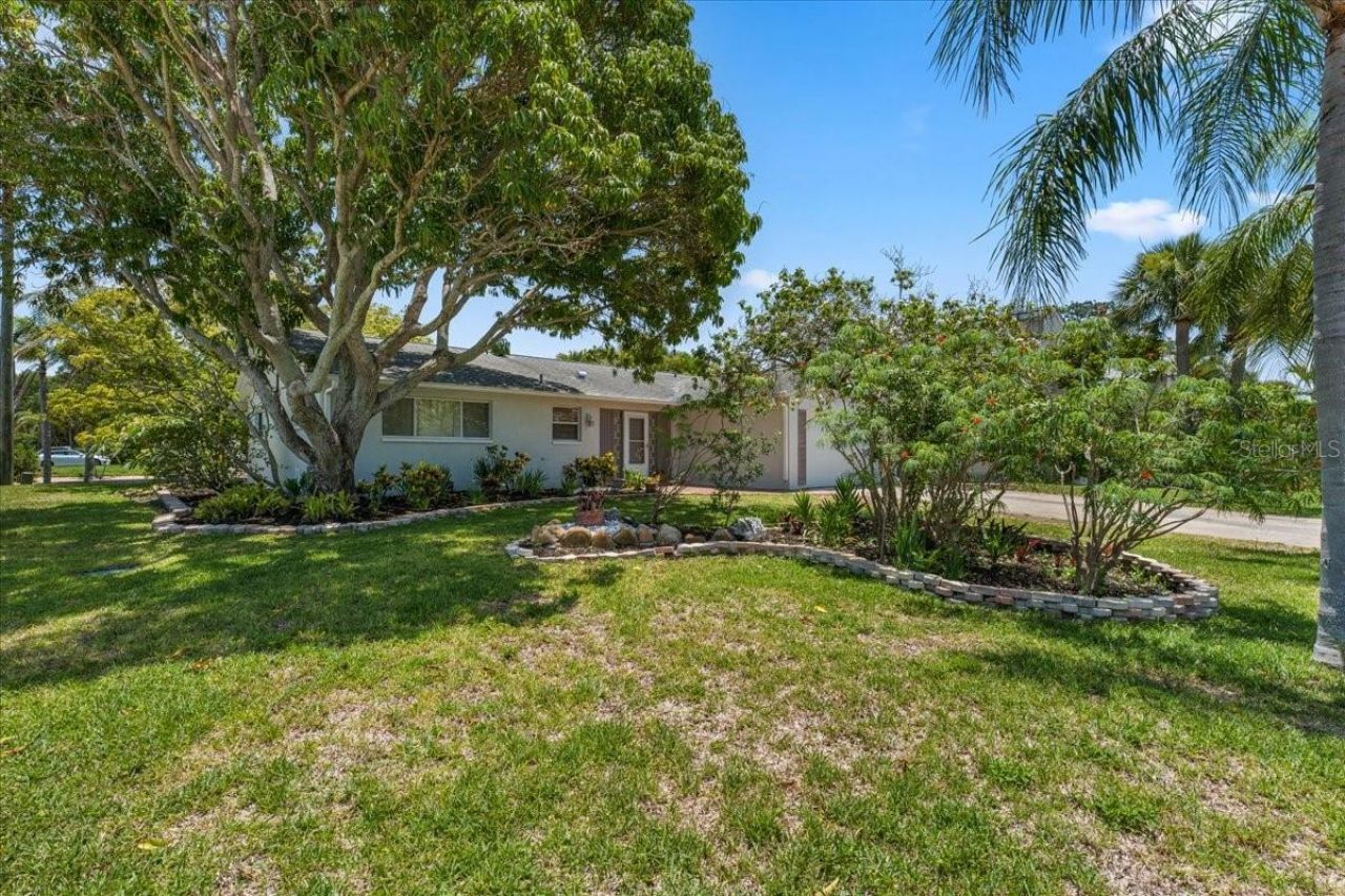 344 Crosswinds Drive, Palm Harbor, FL 34683 Photo