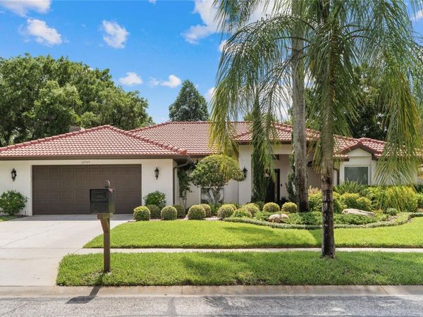 12909 CINNIMON PLACE , TAMPA, FL 33624