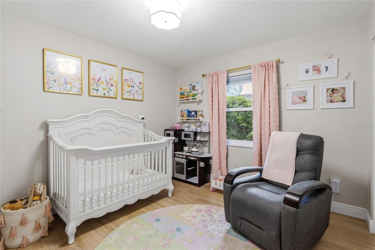 12909 Cinnimon Place, Tampa, FL 33624 Photo