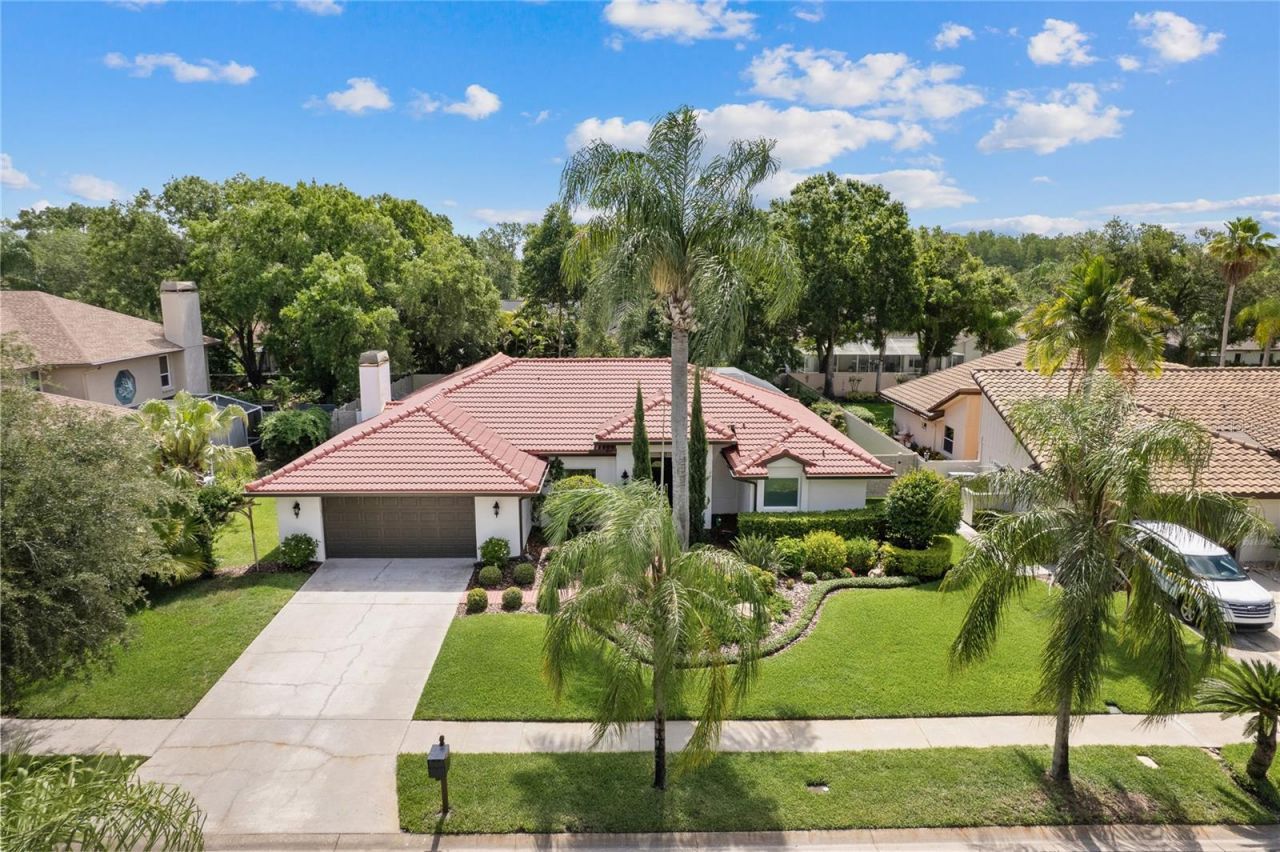 12909 Cinnimon Place, Tampa, FL 33624 Photo
