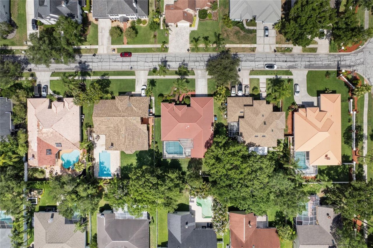 12909 Cinnimon Place, Tampa, FL 33624 Photo