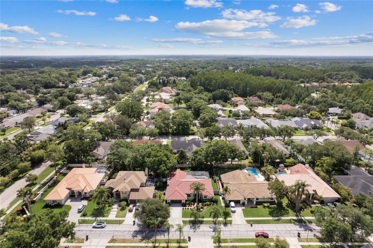 12909 Cinnimon Place, Tampa, FL 33624 Photo