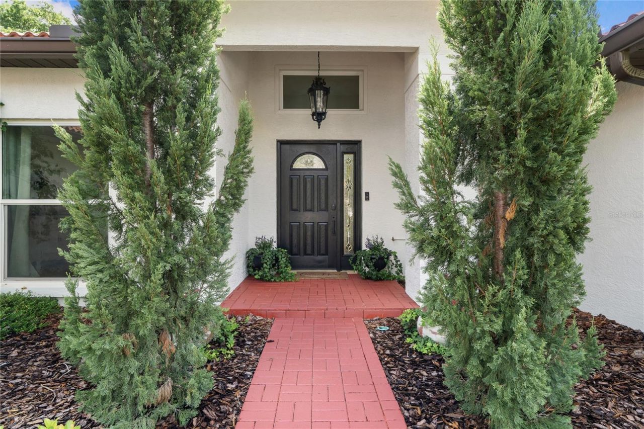 12909 Cinnimon Place, Tampa, FL 33624 Photo