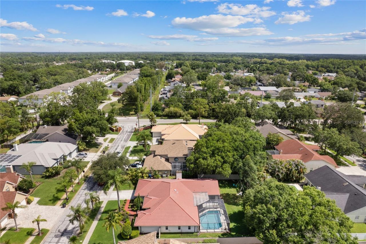 12909 Cinnimon Place, Tampa, FL 33624 Photo