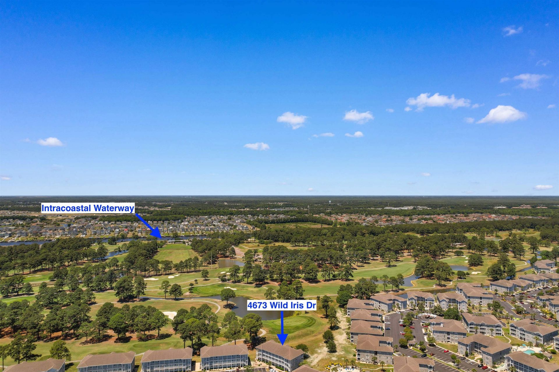 4673 Wild Iris Dr.  Photo 25