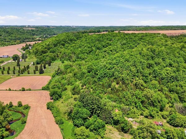 31 acres Cty Rd. S , Plum City, WI 54761