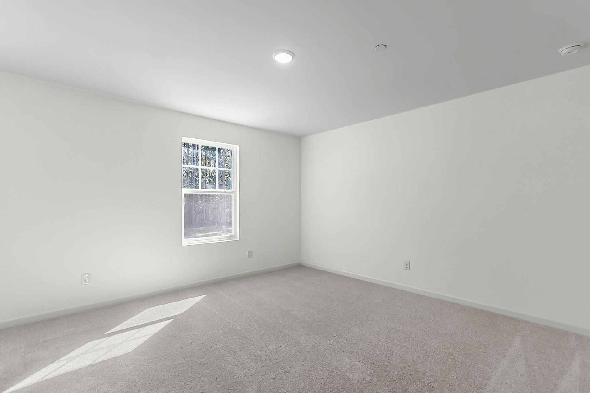 200 Halstead Drive Photo 21