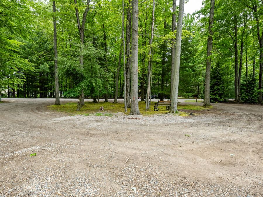 Property Image 59