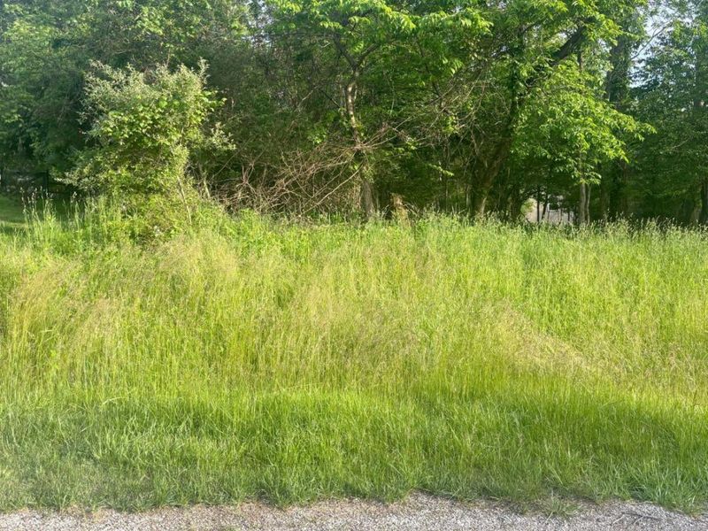 46 N Highland Court , Howard, OH 43028 Photo 2