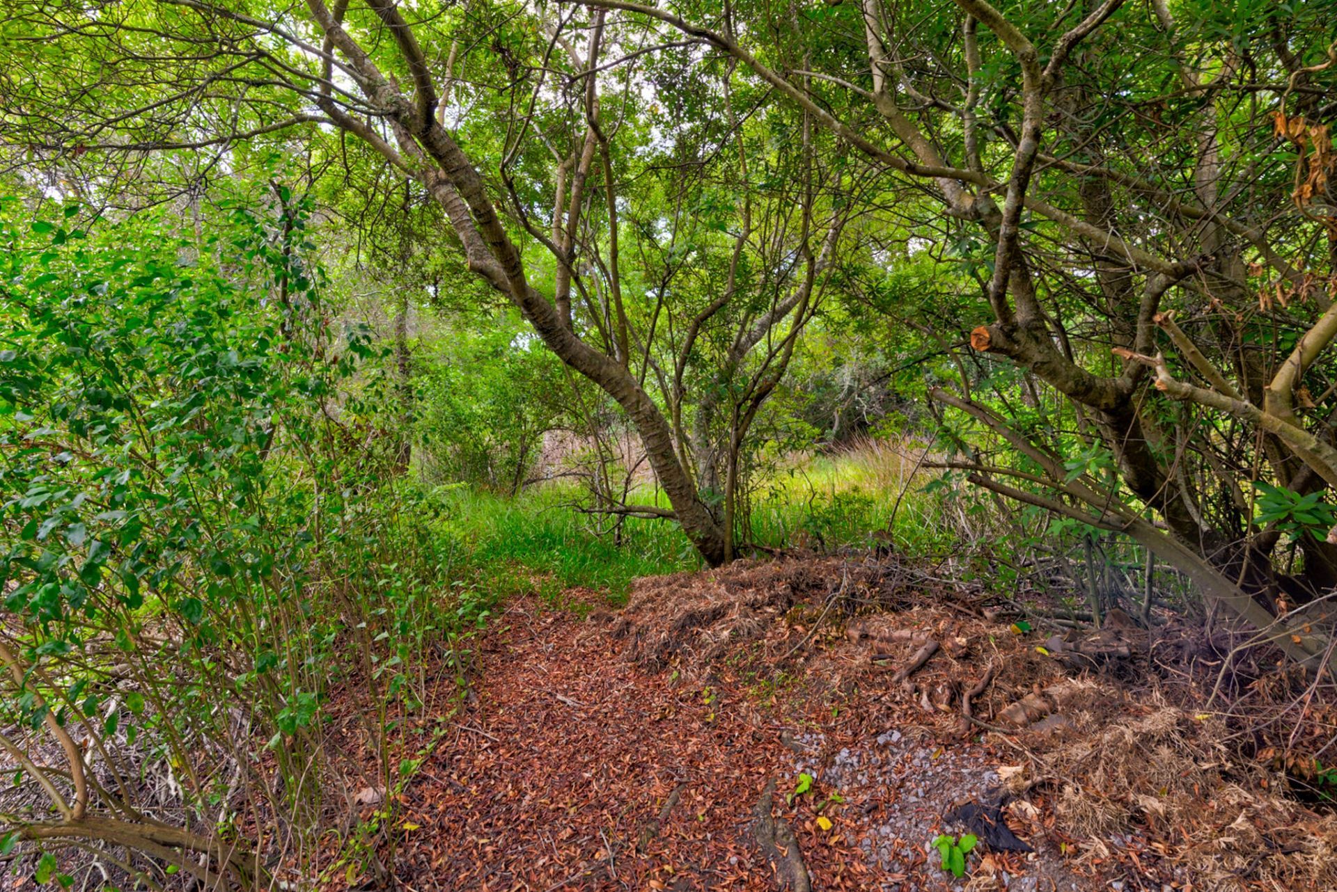 67 Oyster Point Row Photo 40