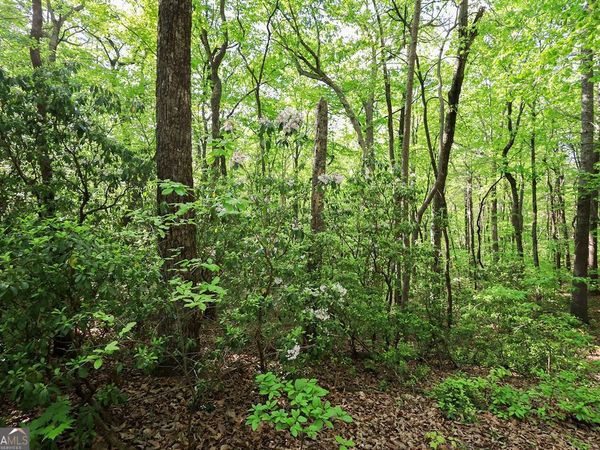 0 Amicalola Drive, Dawsonville, GA 30534