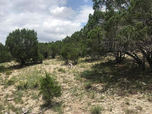 3226 Eisenhower Ave, Lago Vista, TX 78645