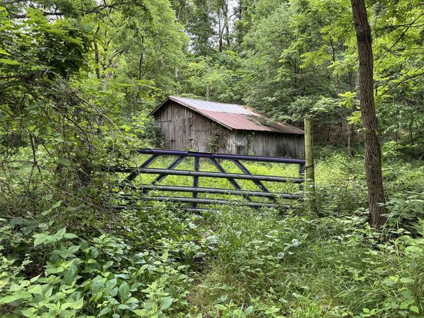 000 Farm Road 2230 , Washburn, MO 65772
