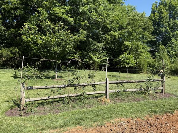728 Winding Bluff Way , Clarksville, TN 37040