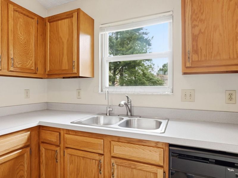 3541 Motts Place Court, Canal Winchester, OH 43110 Photo 18