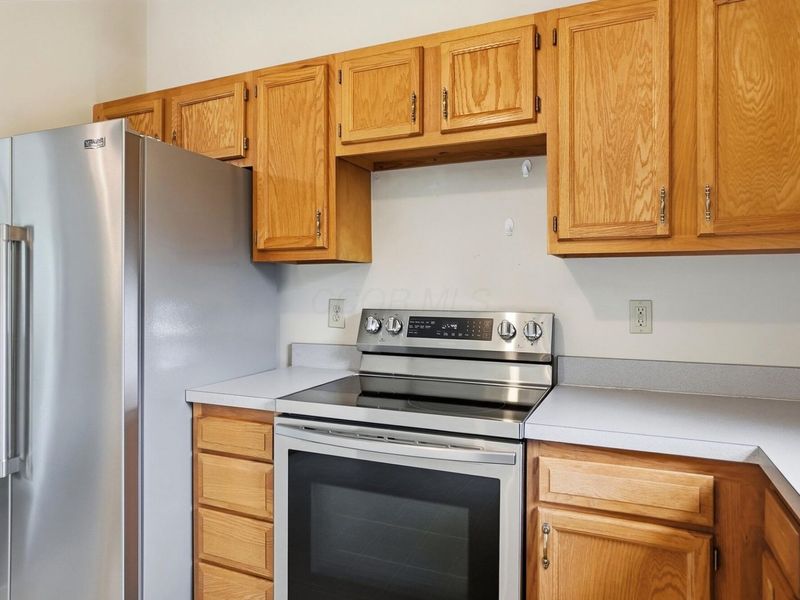 3541 Motts Place Court, Canal Winchester, OH 43110 Photo 19