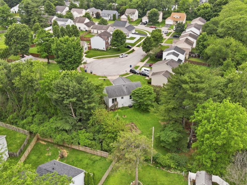 3541 Motts Place Court, Canal Winchester, OH 43110 Photo 50