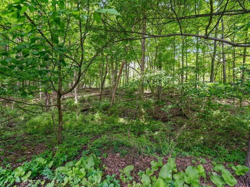650 W Orange Road, Delaware, OH 43015 Photo 122
