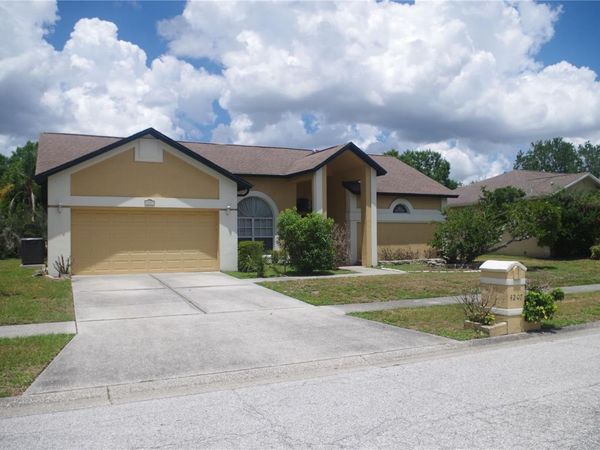 4207 ELBA PLACE , VALRICO, FL 33596