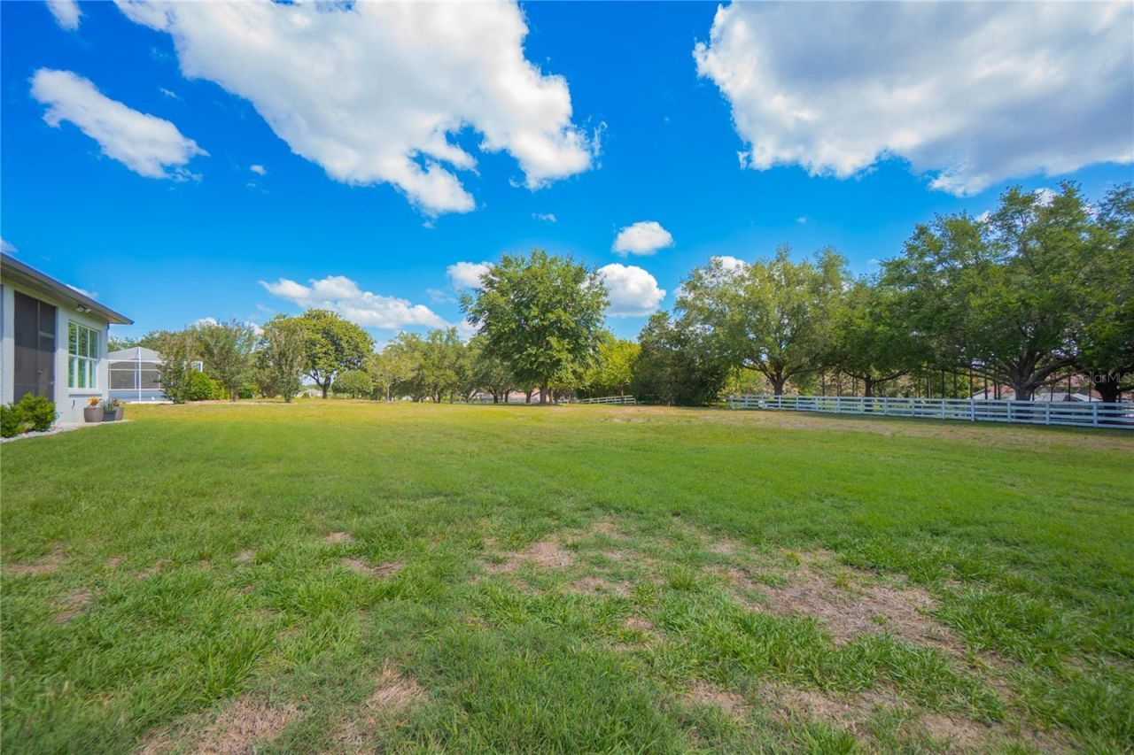1555 E Seattle Slew Circle, Inverness, FL 34453 Photo