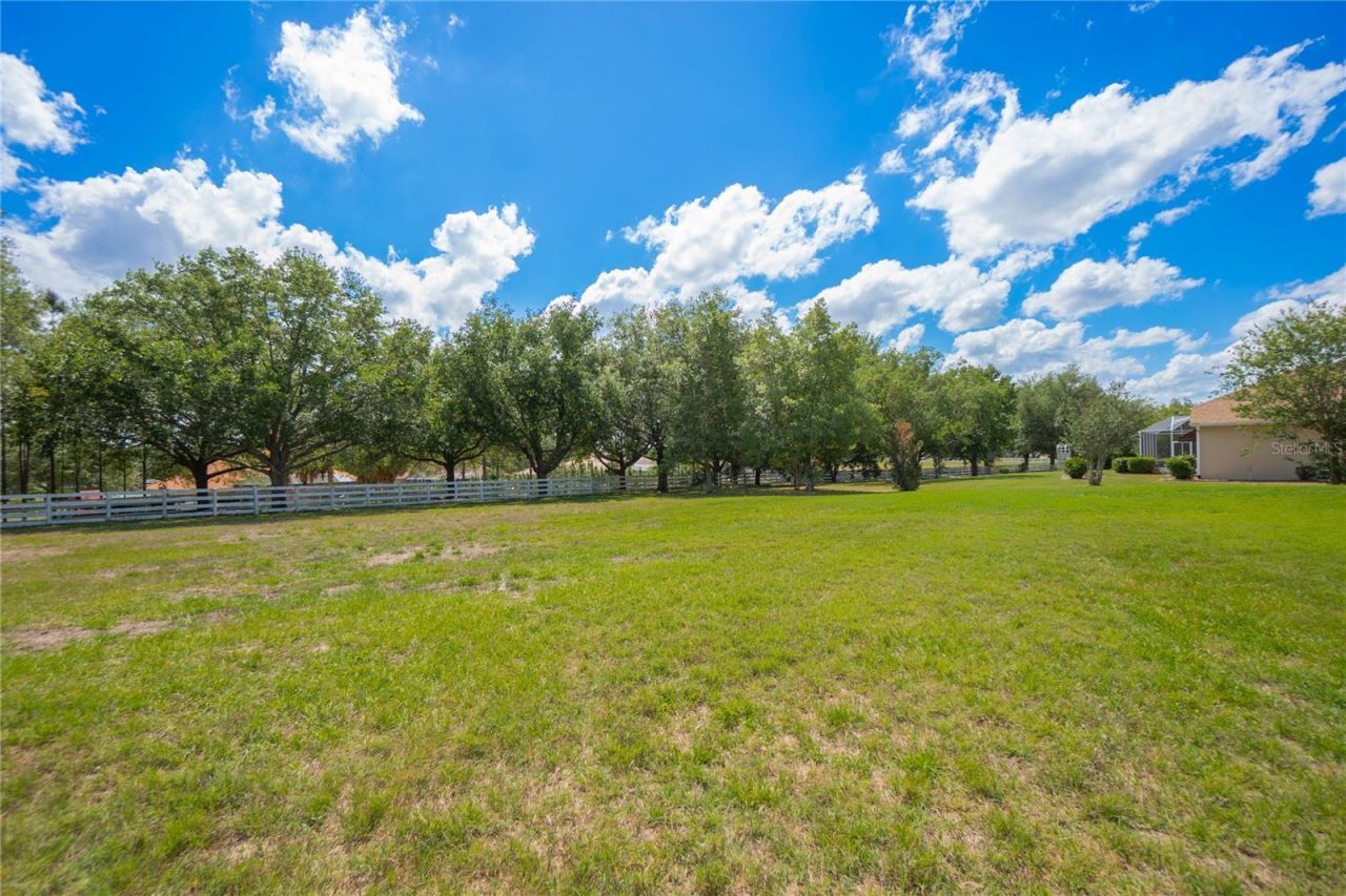 1555 E Seattle Slew Circle, Inverness, FL 34453 Photo