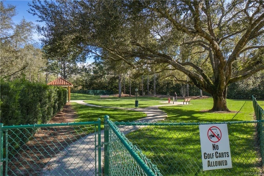 1555 E Seattle Slew Circle, Inverness, FL 34453 Photo