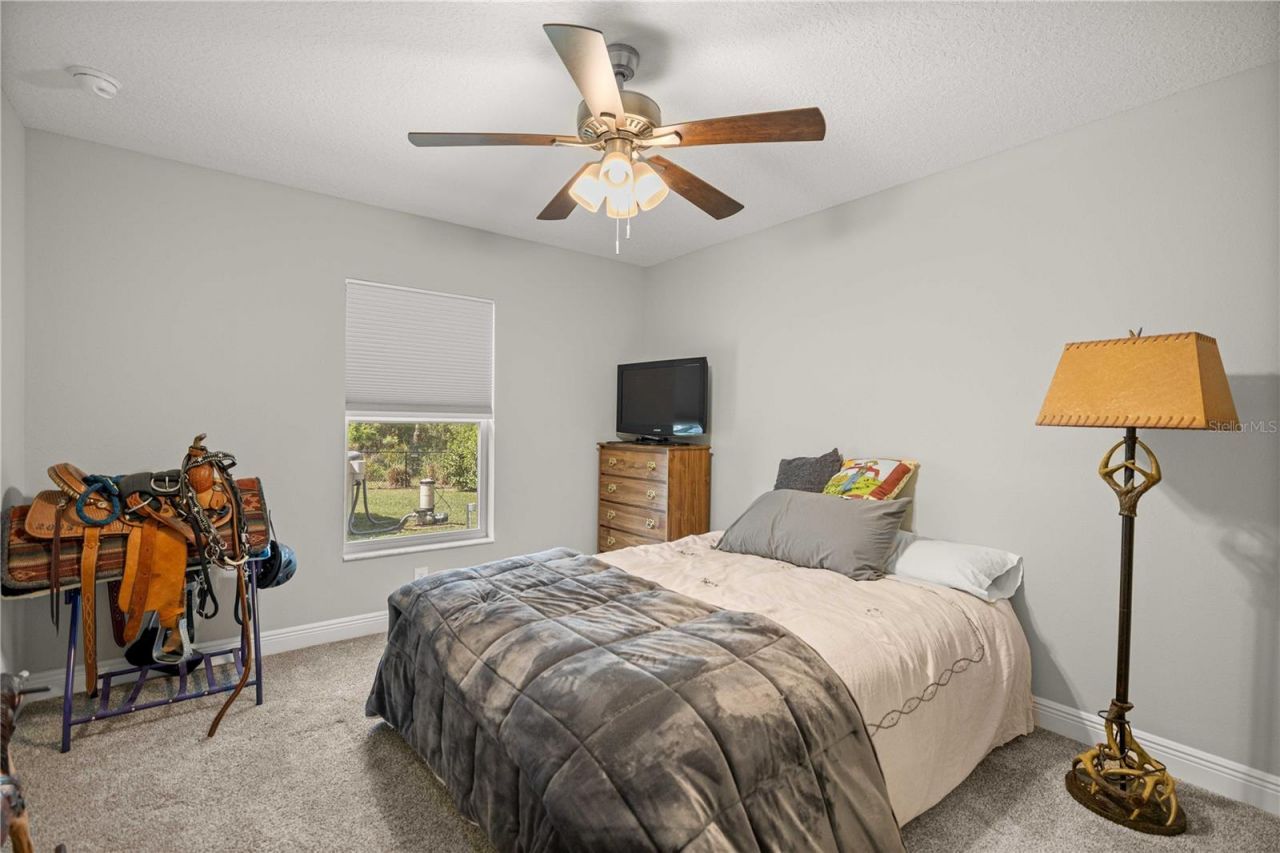 3372 W Webster Place, Citrus Springs, FL 34433 Photo