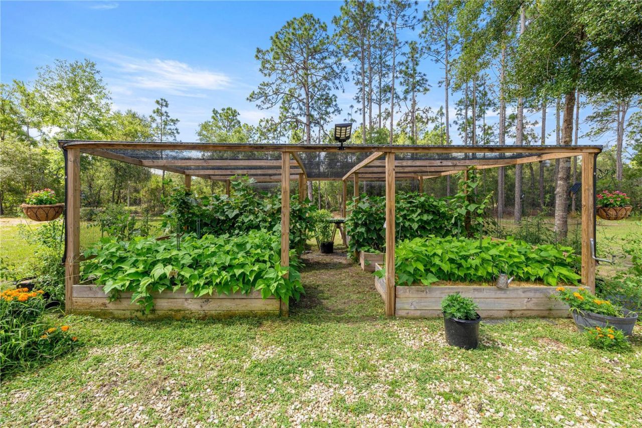 3372 W Webster Place, Citrus Springs, FL 34433 Photo