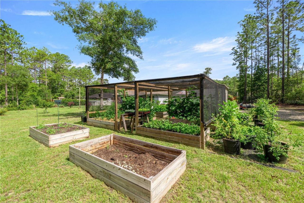3372 W Webster Place, Citrus Springs, FL 34433 Photo