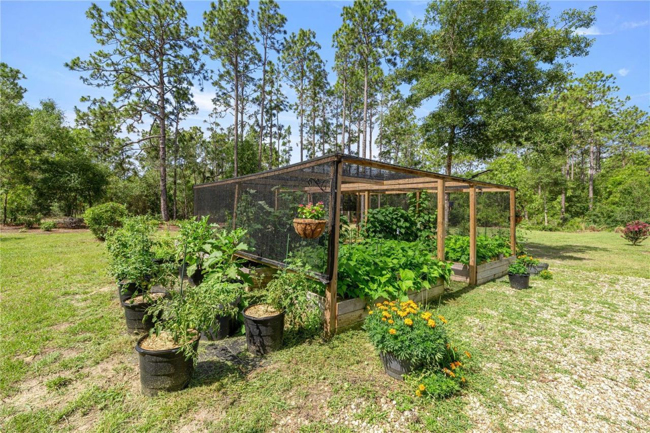 3372 W Webster Place, Citrus Springs, FL 34433 Photo