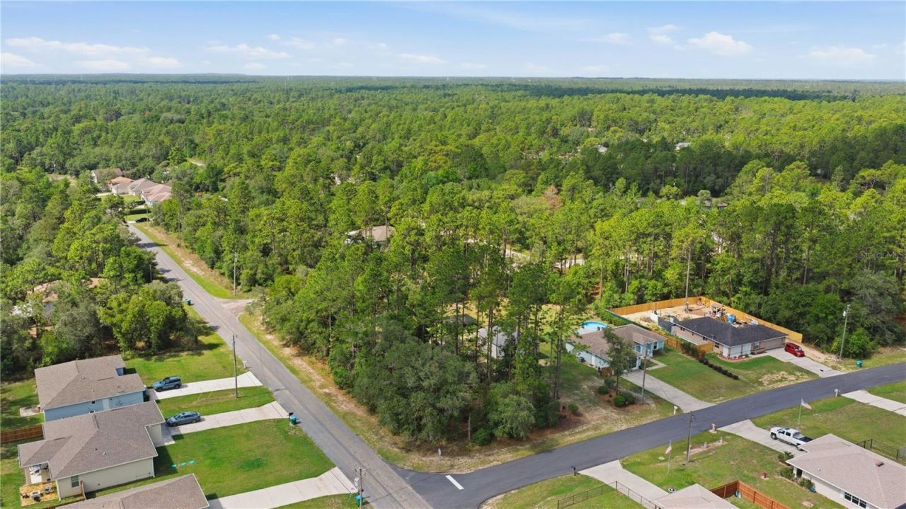 3372 W Webster Place, Citrus Springs, FL 34433 Photo
