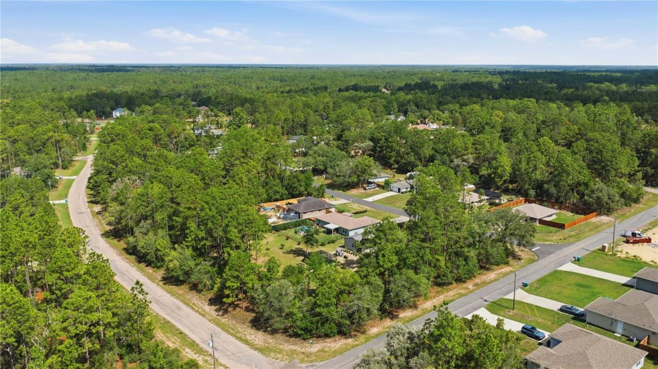 3372 W Webster Place, Citrus Springs, FL 34433 Photo