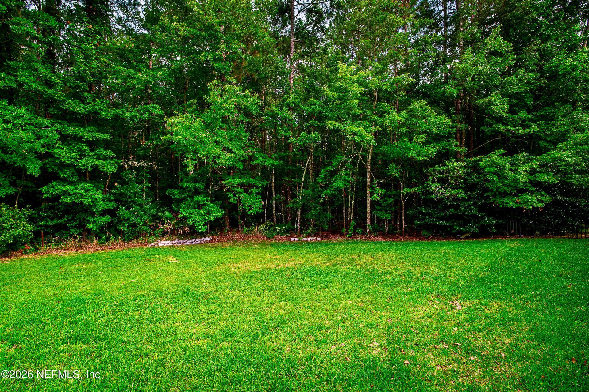 6197 Kissengen Spring Court, Jacksonville, FL 32258 Photo