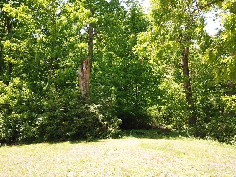 1428 Jewett Road , Powell, OH 43065 Photo 6