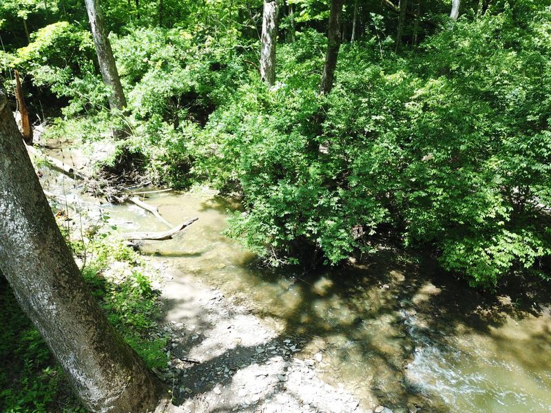 1428 Jewett Road , Powell, OH 43065 Photo 8