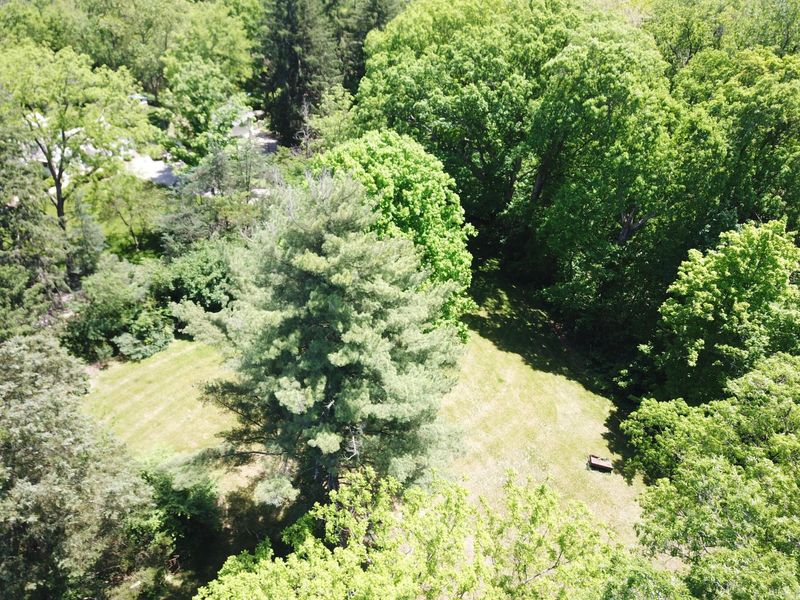 1428 Jewett Road , Powell, OH 43065 Photo 9