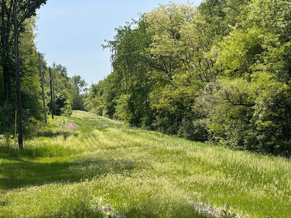 TBD Pullman Avenue , Saint Paul Park, MN 55071