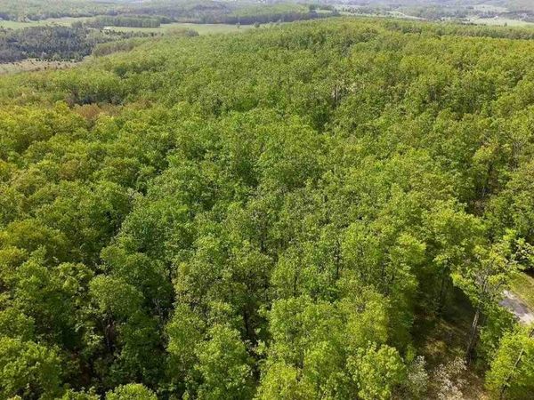 3402 Needles Drive, Unit 16, Harbor Springs, MI 49740