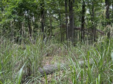 Lot 52 LAKE DR, CRIMORA, VA 24431