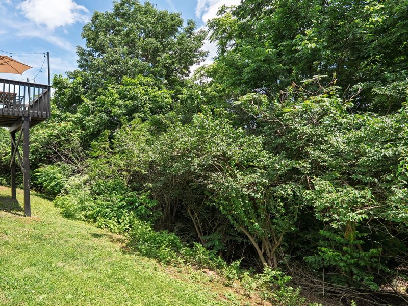 4975 Moonlight Way, Independence, KY 41051 Photo 33