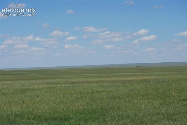 # Blasingame Road, Ramah, CO 80832 Main Photo