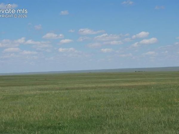# Blasingame Road, Ramah, CO 80832