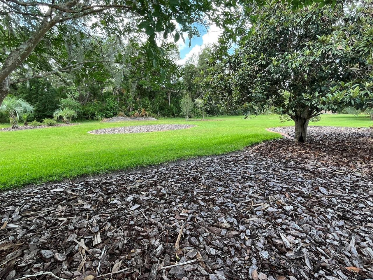 3924 Sunnybrook Court, Orlando, FL 32820 Photo
