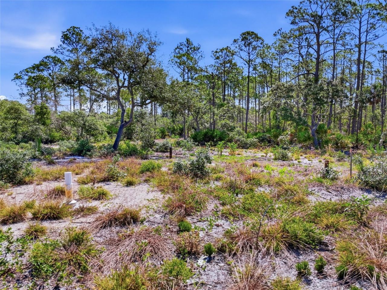 Tbd State Road 24, Cedar Key, FL 32625 Photo