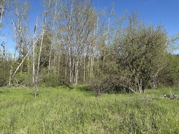 6330 S River Road, Cheboygan, MI 49721