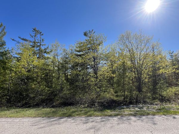 Lot 165 Pineview Drive, Presque Isle, MI 49777