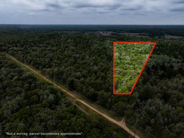 V/L 12.19 Rapp Drive, Grant, MI 49327