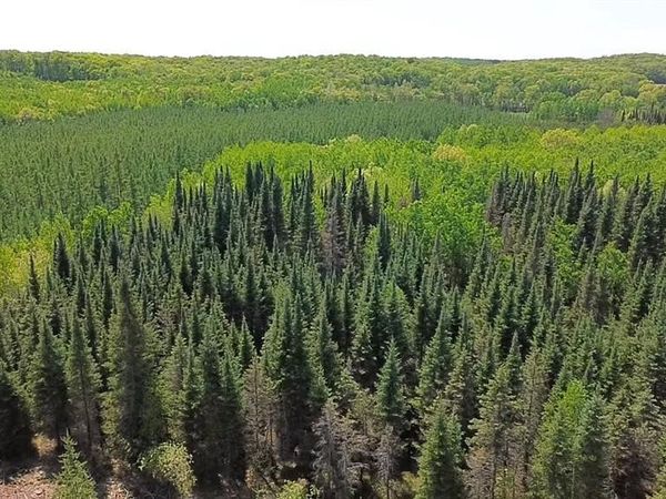 349X 5th Avenue, Spooner, WI 54801