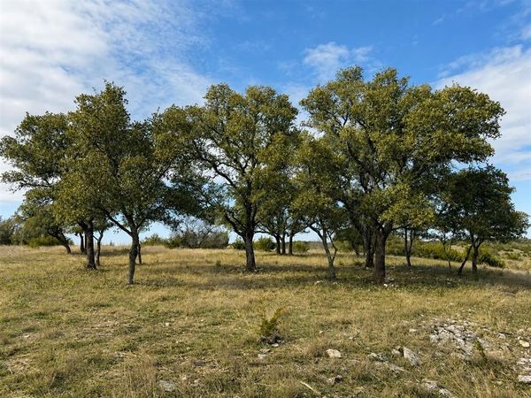1146 Hidden Cove Trail, Glen Rose, TX 76043