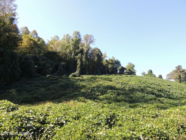 8548 Zinc Rd, Knoxville, TN 37938